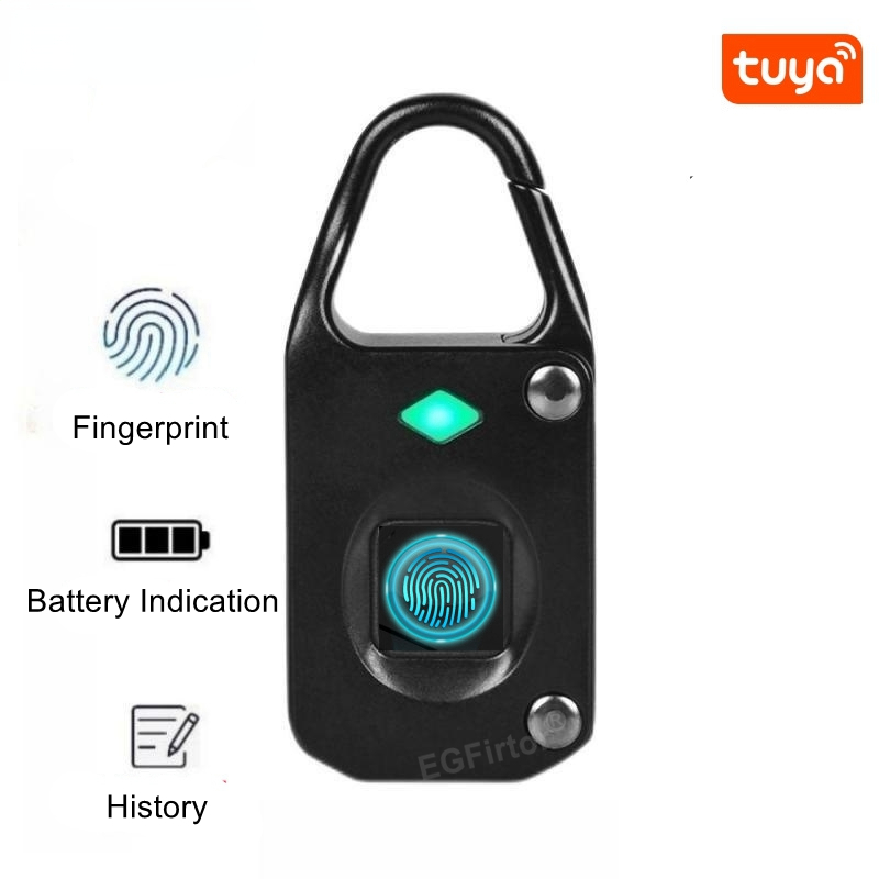 Tuya Bluetooth Mini Fingerprin - Laptop Backpack Anti Theft 리뷰 및 가격